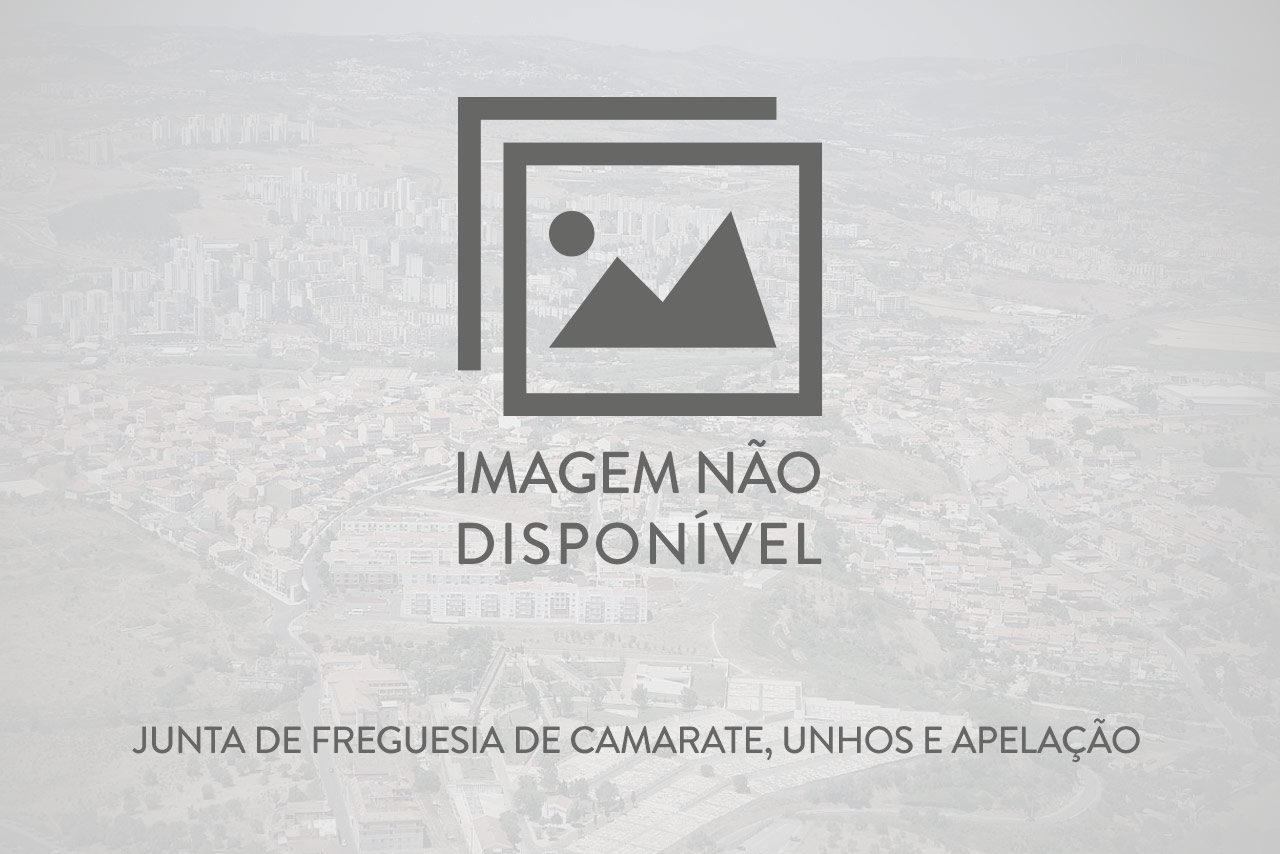 Imagem não Disponível